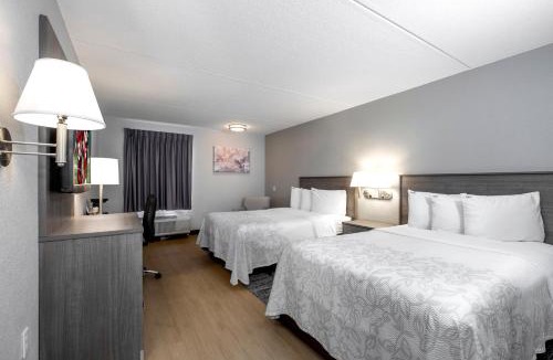 Mansfield Hotel | Red Roof Inn PLUS Boston - Mansfield - Foxboro