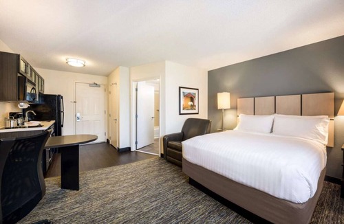 Plano Hotel | Relax and Unwind in Style! Pet-friendly Property, Fully-equipped Kitchen!