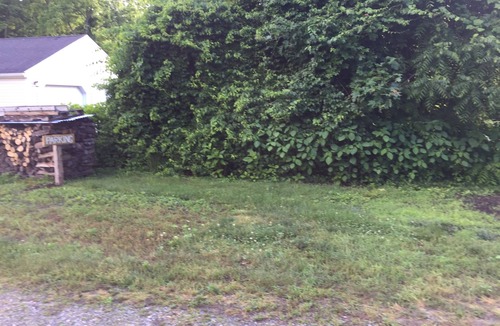 Pine Meadow Apartment | RIVERSIDE HOMESTEAD on the Farmington River