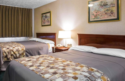 Branford Hotel | Rodeway Inn & Suites Branford - Guilford