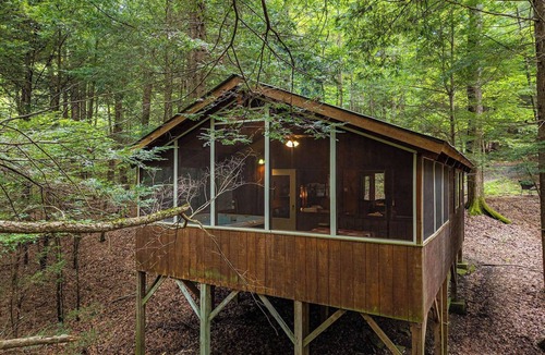 Victor Cabin | Romantic Get-away Cabin in the woods, w/Hottub next to coolest small town in USA