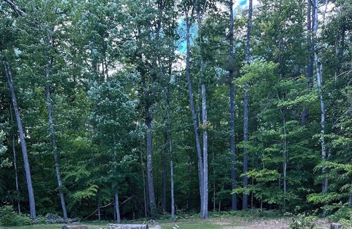 Concord Cabin | Rustic cabin-style on RIVER Northwest of Concord Nh within minutes of Penecook