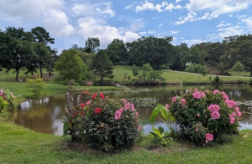 Oden RV Rental | RV site #10 Ouachita Campground at Edendell