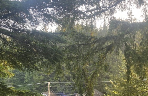 Ketchikan Cabin | Salmon creek cabin