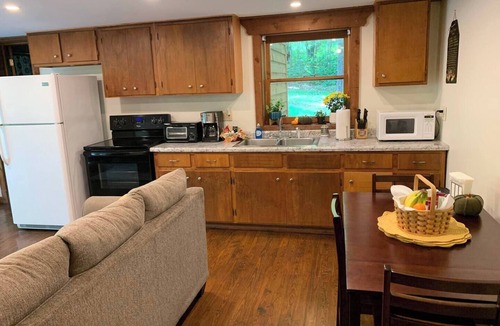 Carpenter Cabin | Secluded Goldfinch Cabin 20 Minutes to Athens with Outdoor Hot Tub
