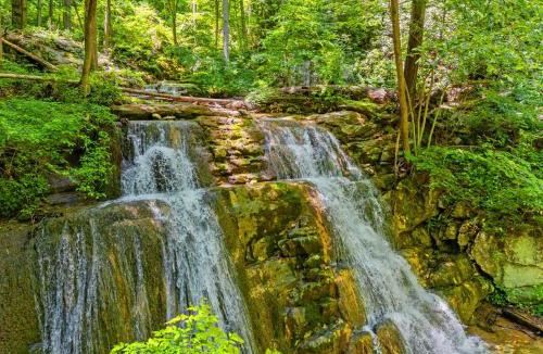 South Fork Ski Chalet | Secluded Retreat Endless Mtn Views Rushing Stream