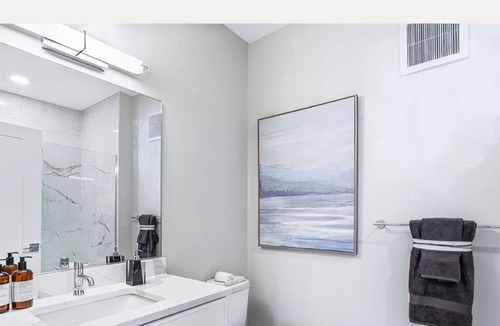 Ashburn Condo | Sleek, Modern Condo