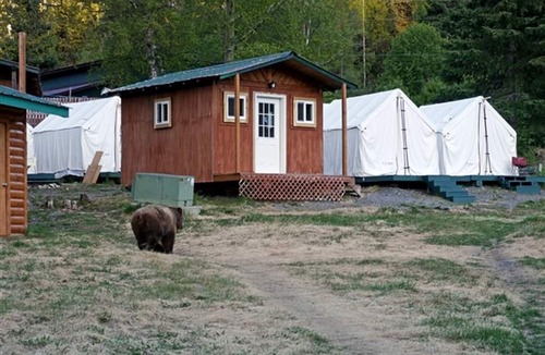 Cooper Landing Cabin | Small Group Cabin Ideal to Relax and Explore Nature in Alaska