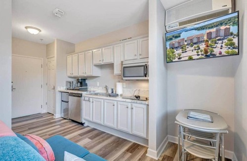 Smith Mountain Lake Apartment | SML Pointe Studio #3201