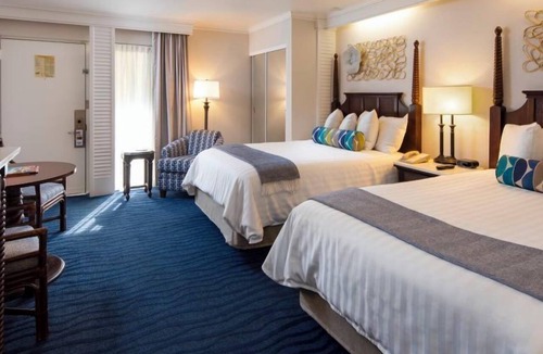 St. Pete Beach Hotel | Standard Hotel Room at Island Grand at TradeWinds, Water Sports Facilities!