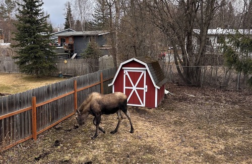University Area House | Stay North–Rooted in Anchorage, Ready for Anything! Message for longer Stays.