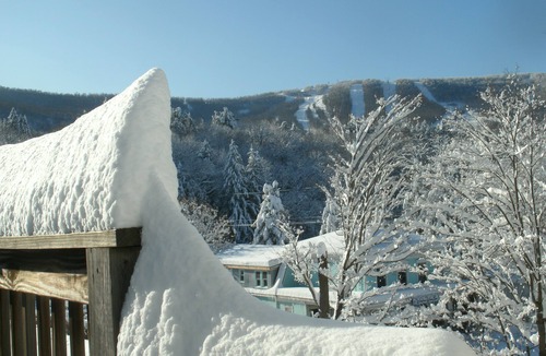 Windham Apartment | Studio 3 BEDS-SLP 3. Downtown Windham. Next to the Ski Resort. Close to Hunter