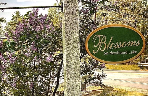 Bridgewater Cottage | Studio Cottage Getaway Blossoms Cottage #5