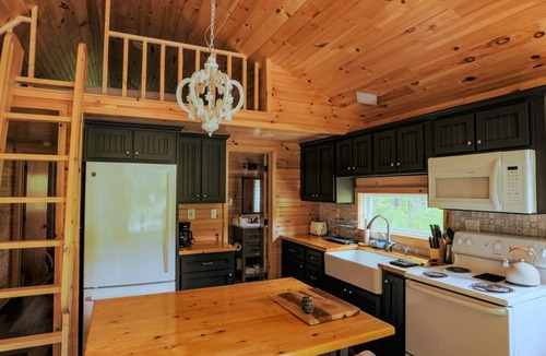 Dailey Cabin | Stunning Cabin & Mountain Hiking!