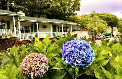 Lincolnville Cabin | Sunny Room with a Private Deck in a Bed and Breakfast near Camden Hills State Park, Maine