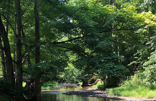 Rosendale RV Rental | Tentrr Signature Site - Mini Yosemite in the Hudson Valley