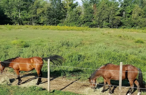 Aurora RV Rental | Tentrr Signature Site - Featherfoot Farm