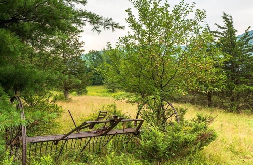 Windham RV Rental | Tentrr Signature Site - Pleasant Valley Maplecroft Camp
