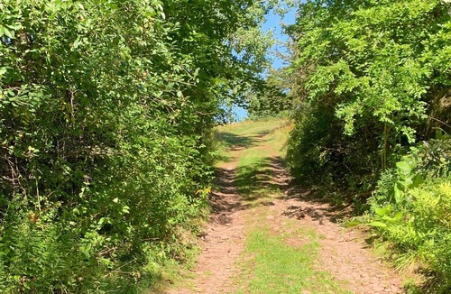 Windham RV Rental | Tentrr Signature Site - Pleasant Valley Maplecroft Camp