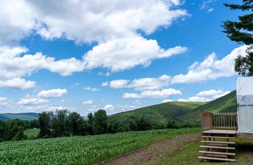 Town of Copake RV Rental | Tentrr State Park Site - NY Taconic State Park: High Valley Rd Site B