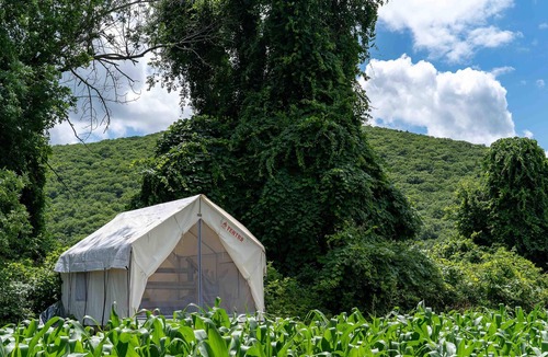 Town of Copake RV Rental | Tentrr State Park Site - NY Taconic State Park: High Valley Rd Site C