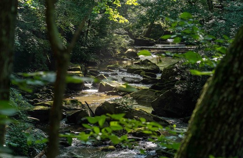 Ansted RV Rental | Tentrr State Park Site - WV Hawk's Nest State Park - Site C - Single Camp