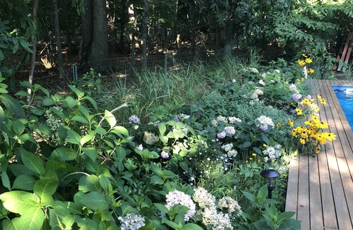 East Hampton North House | Terrific 4 bedroom house in East Hampton with AC, WiFi- share