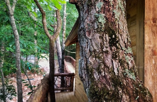 Newnata Cabin | The 87Getaway Secluded Treehouse Escape