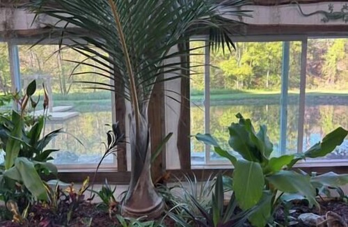 Malaga Cabin | The Conservatory at Owl Hollow