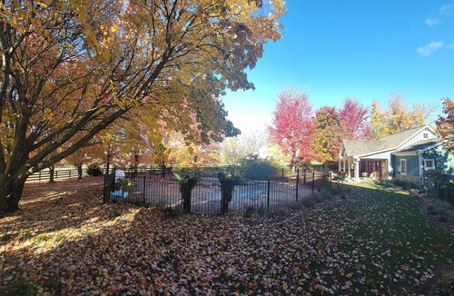 Hamilton Cottage | The Cottage at Firefly Cellars, cozy getaway in Loudoun wine country!