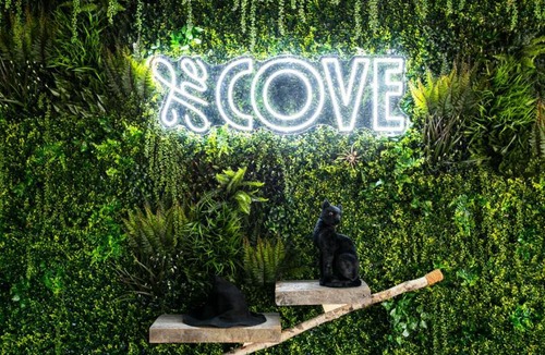 Salem Hotel | The Cove At Salem