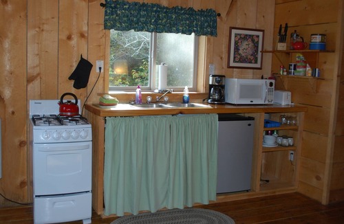 Lutak Cabin | The Gathering Place Cabin #2, rustic cabin on the water, close to Chilkoot River