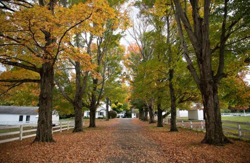 Richmond Hotel | The Inn at Richmond