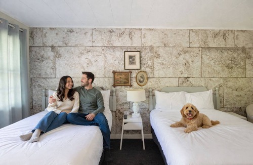 Glendale Hotel | The Little Lion