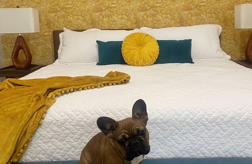 Galena Apartment | The Mollie Retreat ⊹ Lux King Studio Suite on RT 66 ⊹ Gamer's Loft ⊹ New in 2023