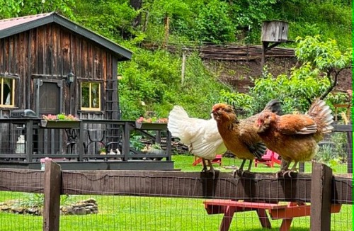Seneca Rocks House | The Renovated Barn at Seneca Rocks