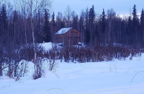 Trapper Creek Cabin | Trapper Creek Denali View Cabin