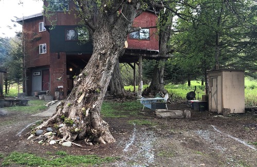 Homer Cabin | Treehouse Too! Stay in a real treehouse.