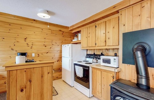 Greenville Apartment | Two cabins in one - lake-view duplex with a shared dock - dog-friendly