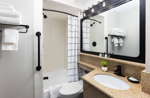 Brookline Hotel | Unique Design & Comfort in Room Close to Fenway Park!