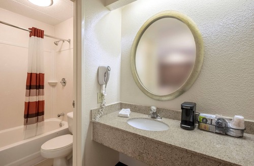 Milford Hotel | Pet-Friendly Room Near Beaches – First Pet Stays Free!