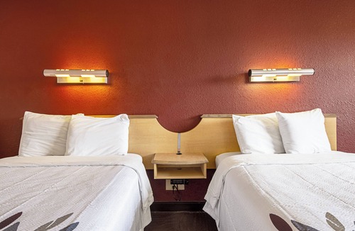 Milford Hotel | Pet-Friendly Room Near Beaches – First Pet Stays Free!