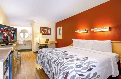 Milford Hotel | Comfortable Stay Perfect for Travelers with Kids and Pets
