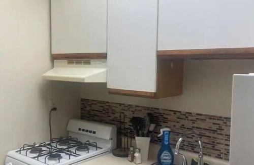 Wilkinsburg Apartment | WALK TO ACRISURE AND PNC STADIUMS FROM 1BR. JUNIOR SUITE IN MEXICAN WAR STREETS