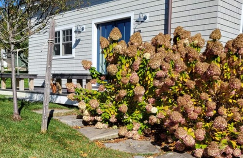 Tenants Harbor Cottage | Water street Cottage - Over looking the Harbor