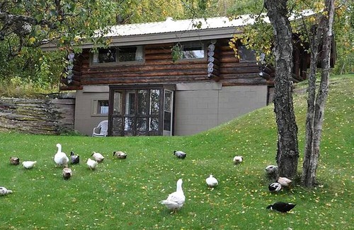 Nikiski Cabin | Waterfront Cabin Rental for a Lakeside Getaway in Kenai, Alaska