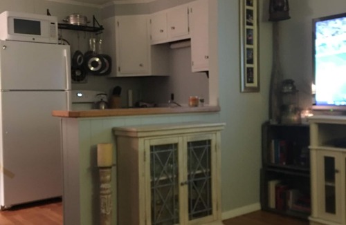 East Wareham Cottage | Waterfront Cottage on White Island Pond w/private beach. Pet-Friendly!