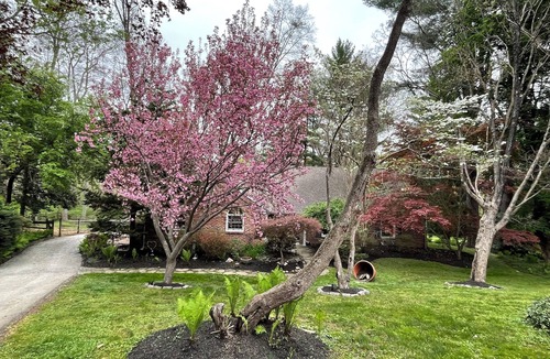 Radnor House | WATERFRONT home near MAJOR INTERNATIONAL SPORTING EVENT & Philly