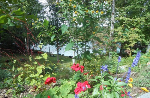 Red Hook Apartment | WELCOME TO THE COUNTRY - LAKE FRONT PROPERTY - THE FOX DEN STUDIO