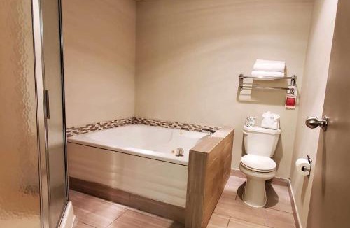 Canton Hotel | Wingate by Wyndham Canton-Hall of Fame